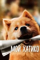 Мой Хатико mp4
