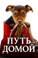 Путь домой mp4